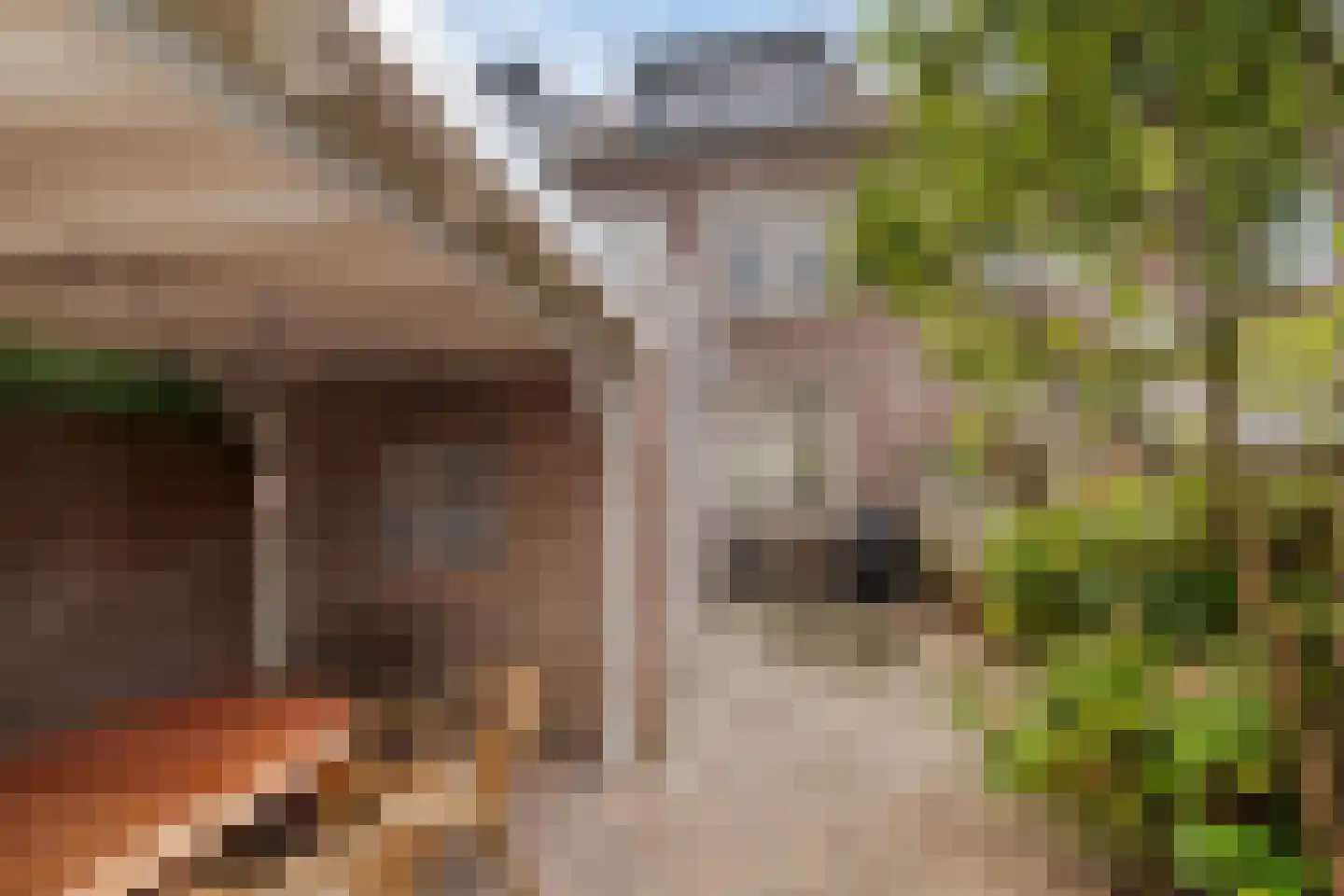 Laagstraat 346 Eindhoven thumbnail 27