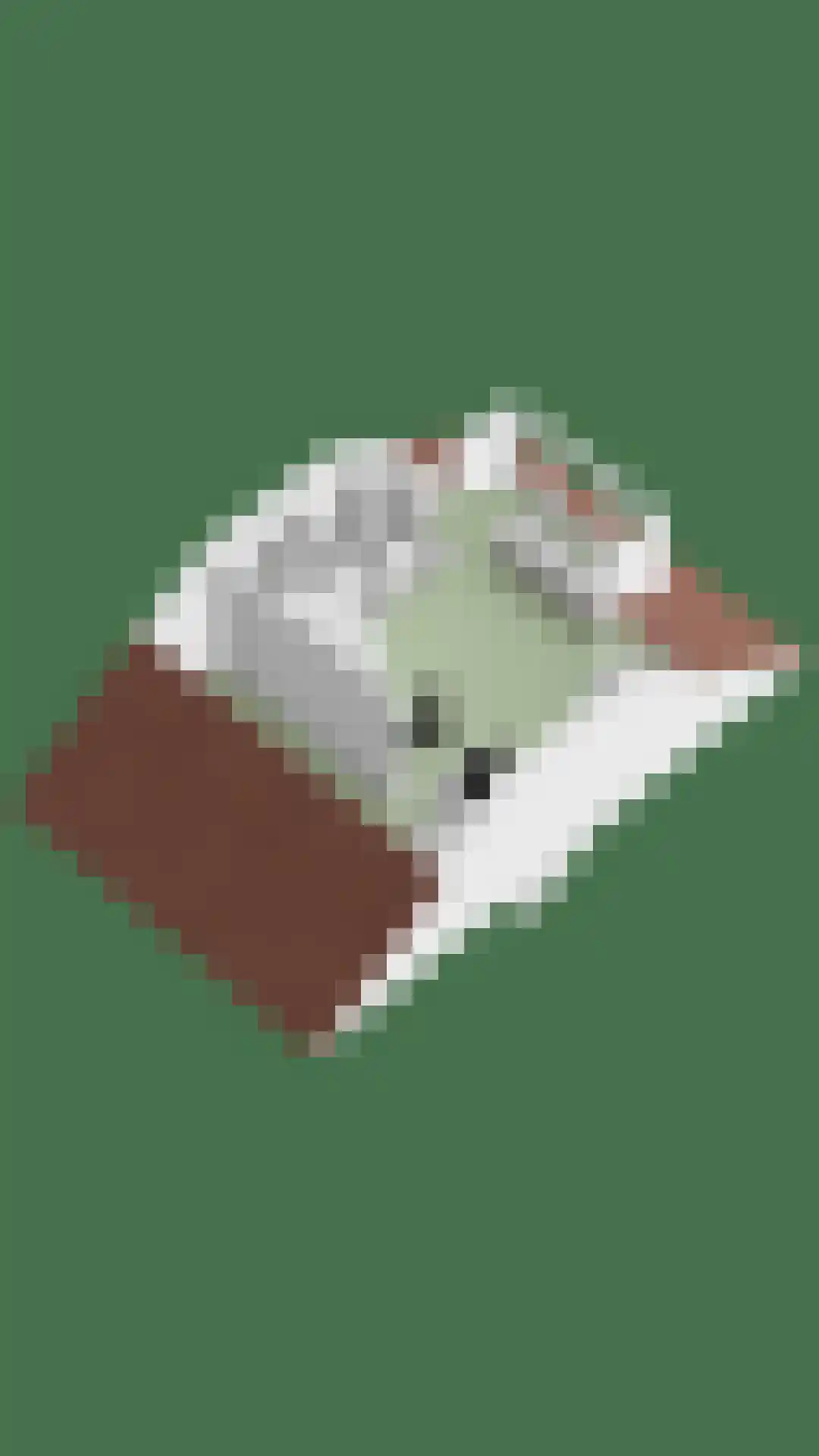 Laagstraat 346 Eindhoven thumbnail 37
