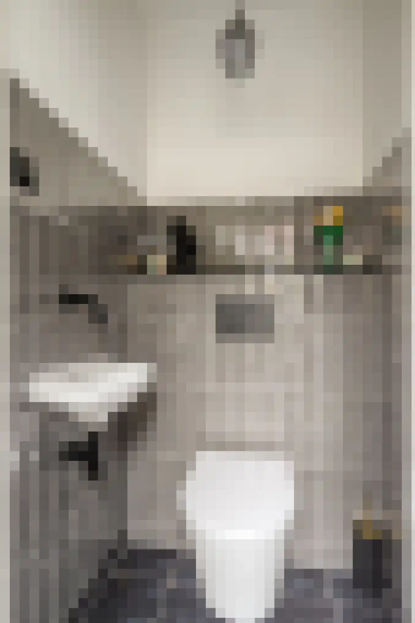 Laagstraat 346 Eindhoven thumbnail 4