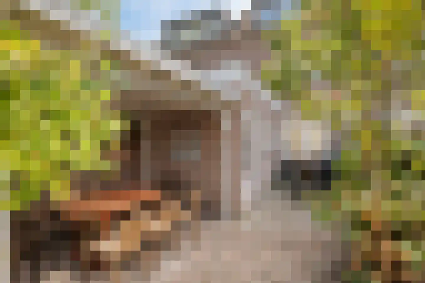Laagstraat 346 Eindhoven thumbnail 6