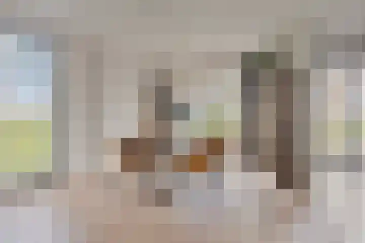 Laagstraat 35 Haren thumbnail 18