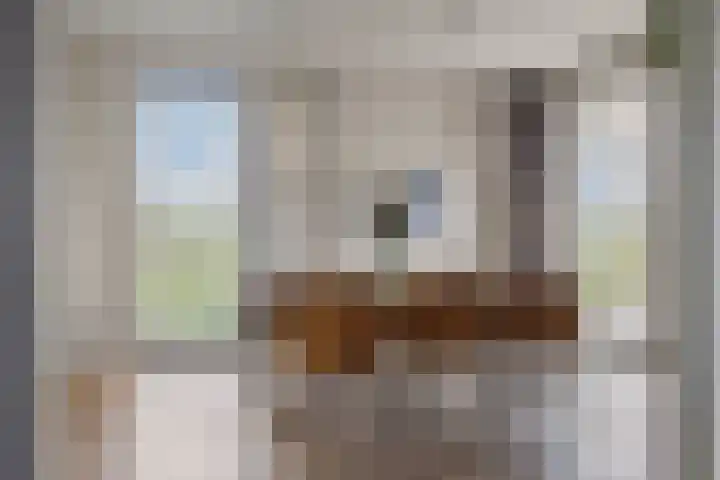 Laagstraat 35 Haren thumbnail 20