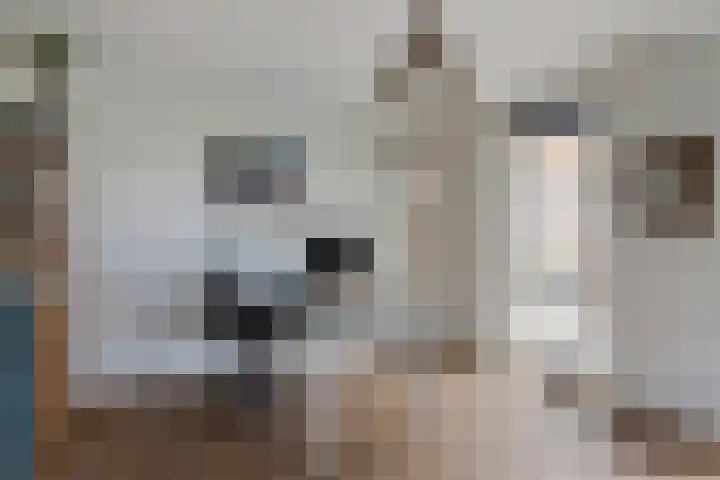Laagstraat 35 Haren thumbnail 26