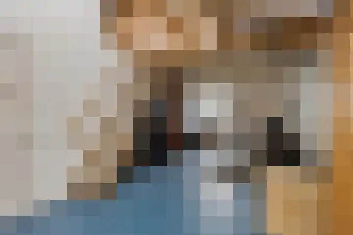 Laagstraat 35 Haren thumbnail 27