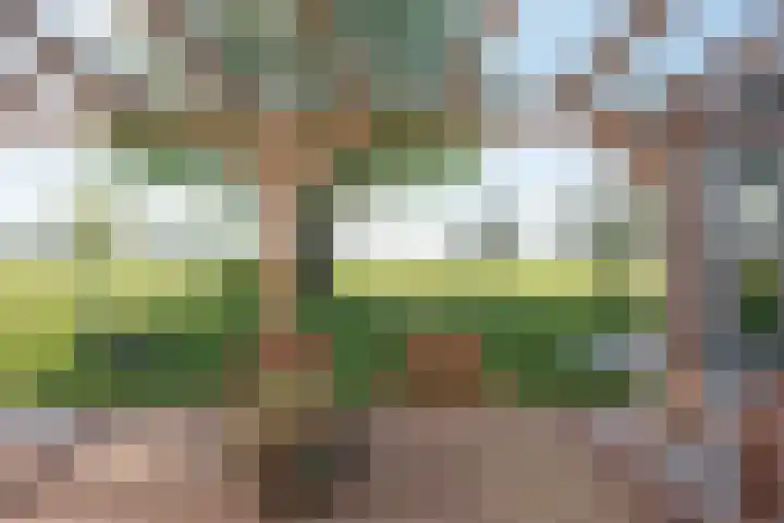 Laagstraat 35 Haren thumbnail 33