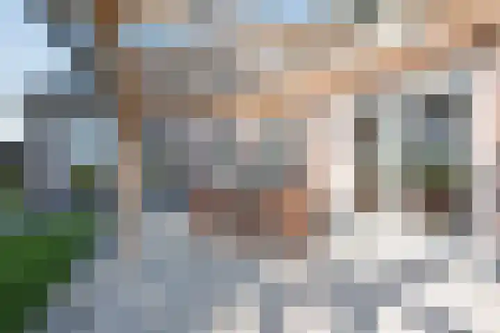 Laagstraat 35 Haren thumbnail 34
