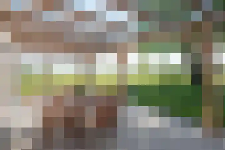 Laagstraat 35 Haren thumbnail 4