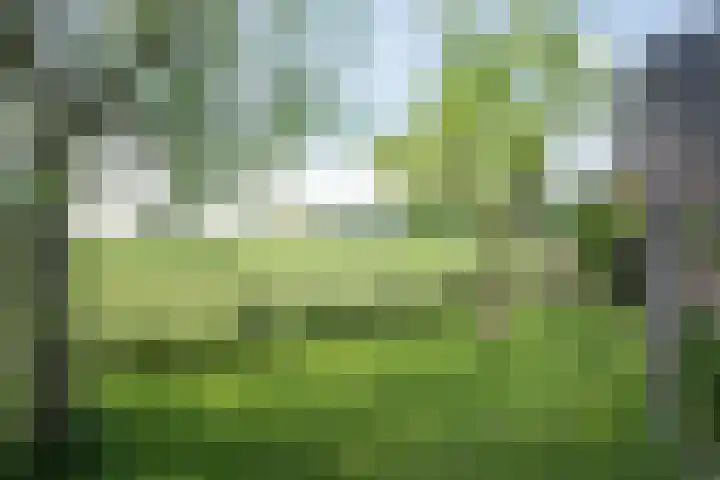 Laagstraat 35 Haren thumbnail 43
