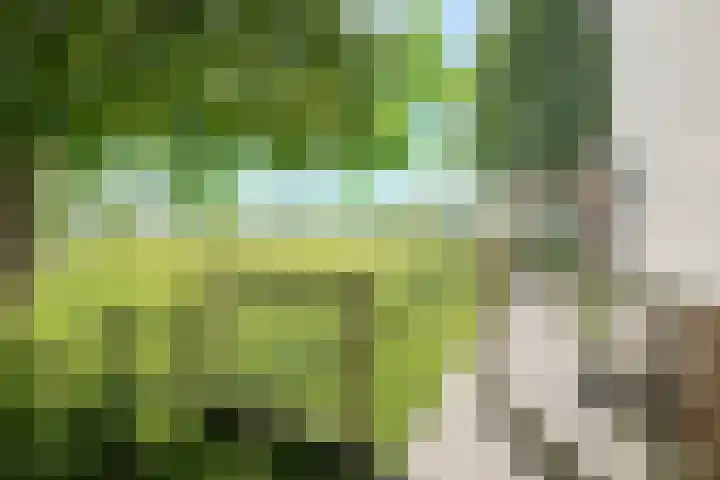 Laagstraat 35 Haren thumbnail 44