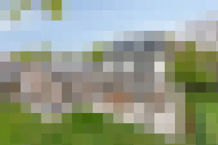 Laagstraat 35 Haren thumbnail 5