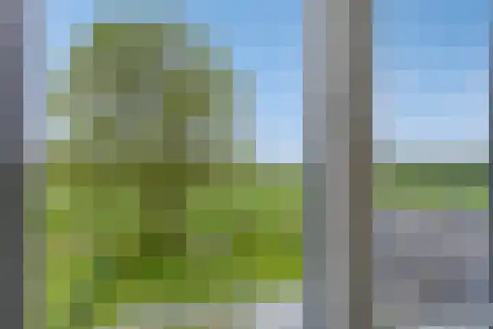 Laagstraat 35 Haren thumbnail 63