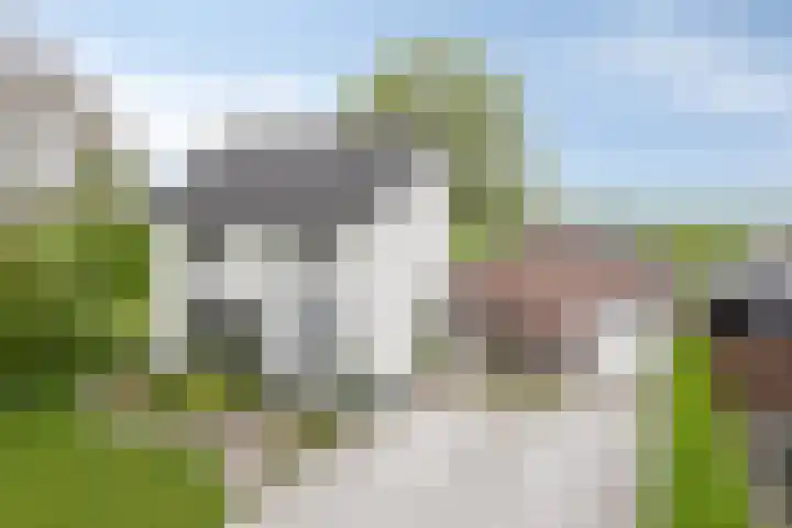 Laagstraat 35 Haren thumbnail 64
