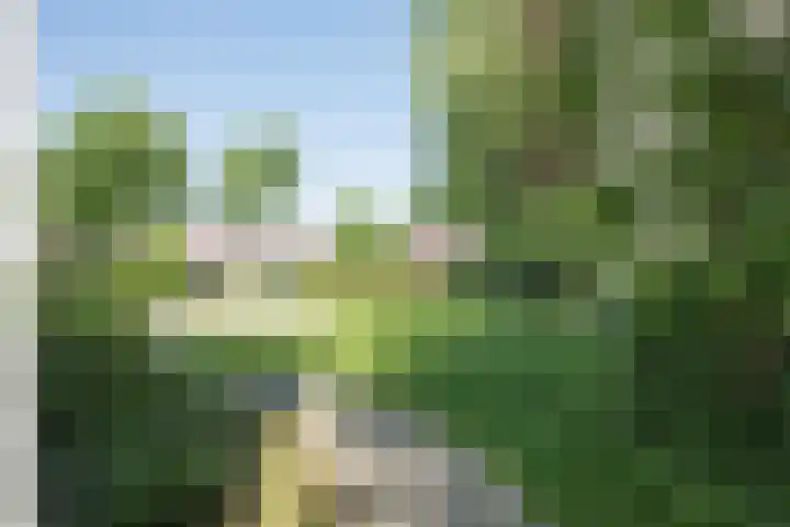 Laagstraat 35 Haren thumbnail 68