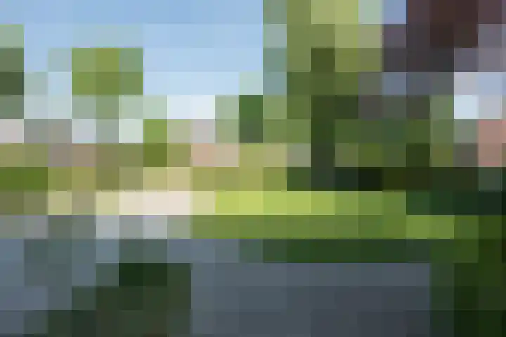 Laagstraat 35 Haren thumbnail 69