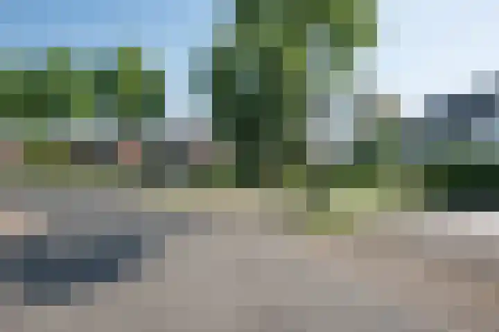 Laagstraat 35 Haren thumbnail 70