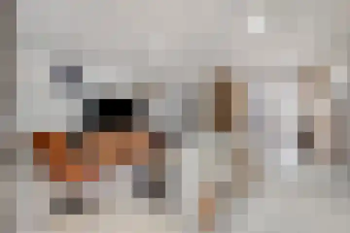 Laagstraat 369 Eindhoven thumbnail 10