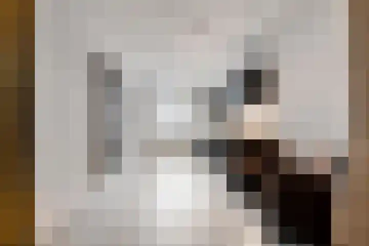 Laagstraat 369 Eindhoven thumbnail 6