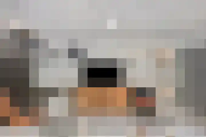 Laagstraat 369 Eindhoven thumbnail 9