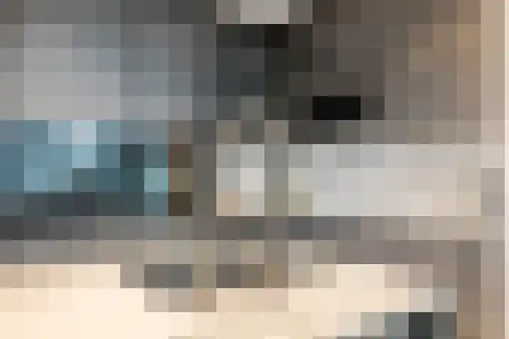 Laagstraat 388 Eindhoven thumbnail 10
