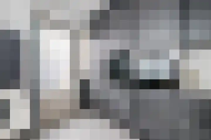 Laagstraat 388 Eindhoven thumbnail 15