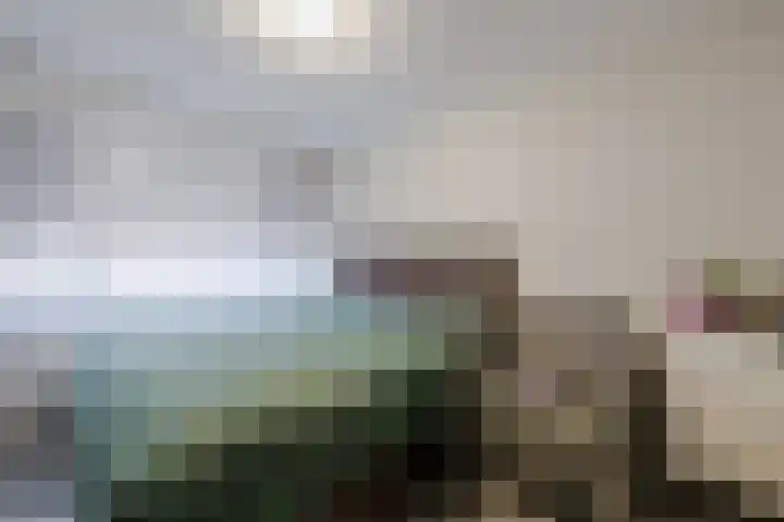 Laagstraat 388 Eindhoven thumbnail 16