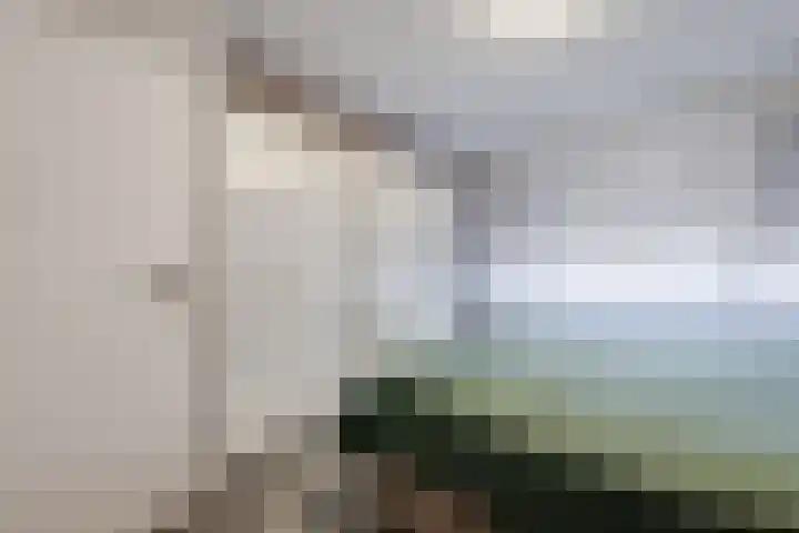 Laagstraat 388 Eindhoven thumbnail 17