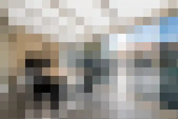 Laagstraat 388 Eindhoven thumbnail 30