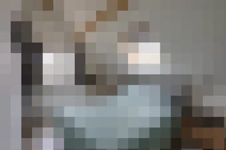 Laagstraat 39 Rijen thumbnail 30