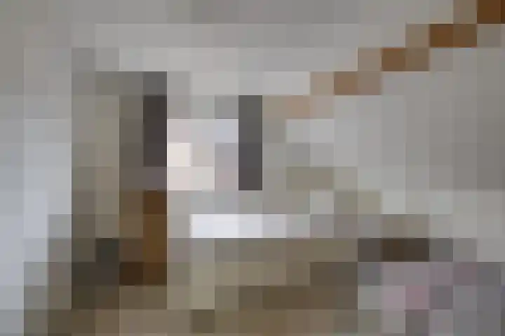 Laagstraat 39 Rijen thumbnail 33