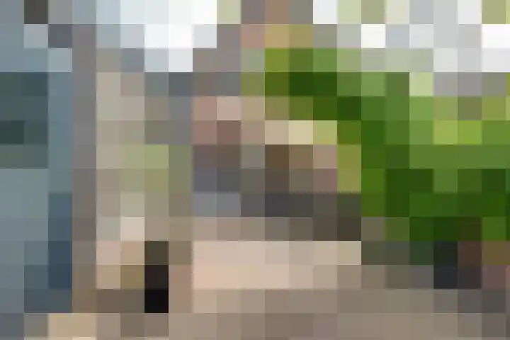 Laagstraat 39 Rijen thumbnail 4