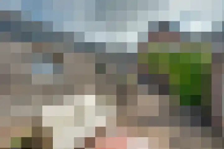 Laagstraat 39 Rijen thumbnail 47