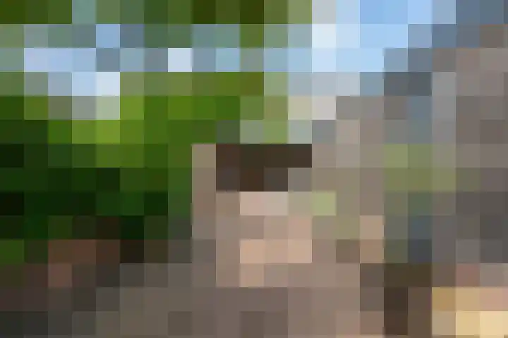 Laagstraat 39 Rijen thumbnail 48