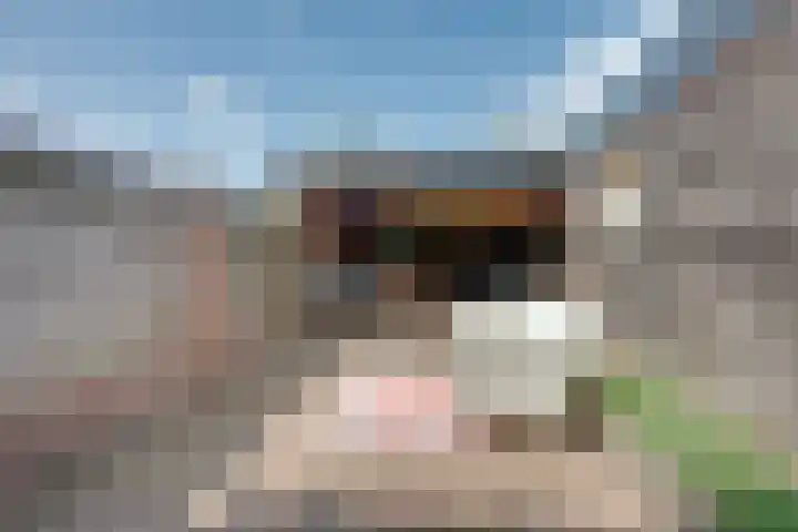 Laagstraat 39 Rijen thumbnail 49