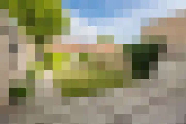Laagstraat 394 Eindhoven thumbnail 29
