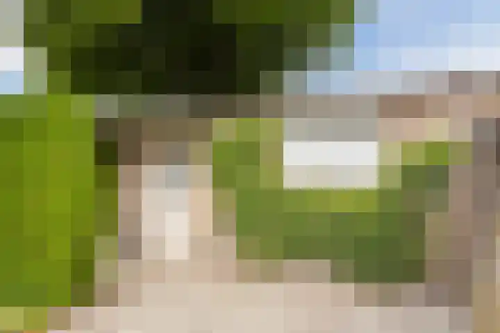 Laagstraat 394 Eindhoven thumbnail 31