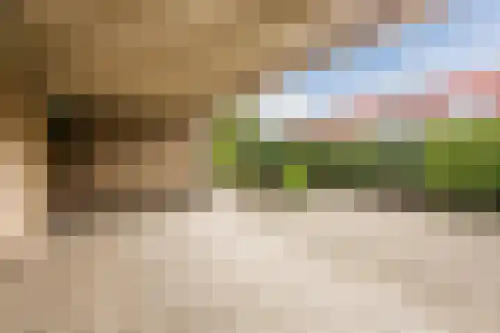 Laagstraat 394 Eindhoven thumbnail 37