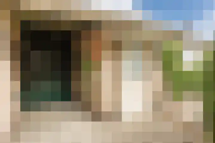 Laagstraat 394 Eindhoven thumbnail 38