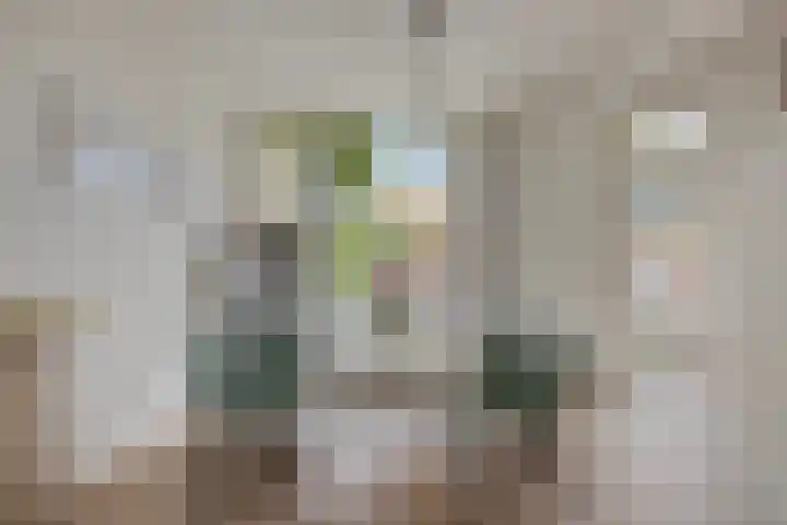 Laagstraat 401 Eindhoven thumbnail 11