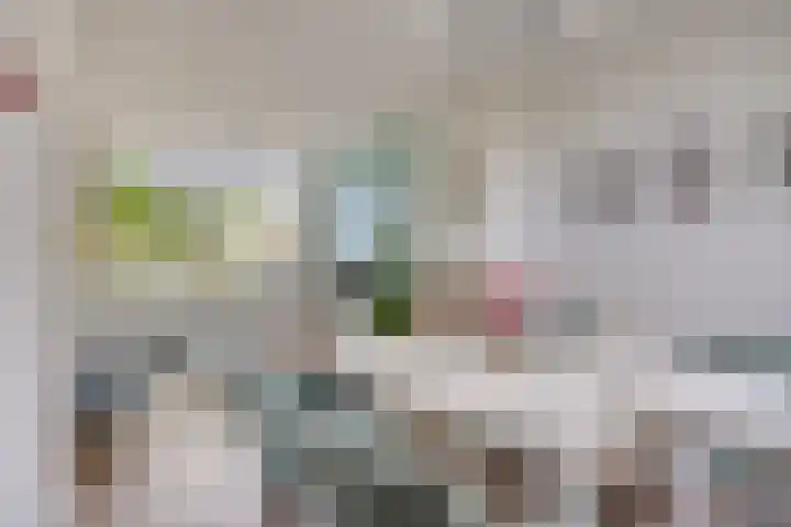 Laagstraat 401 Eindhoven thumbnail 12