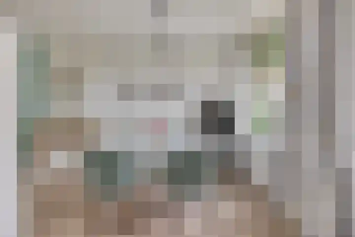 Laagstraat 401 Eindhoven thumbnail 13