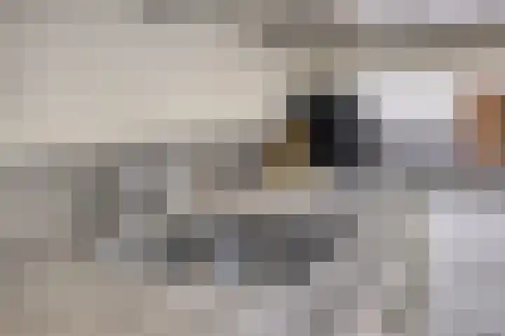 Laagstraat 401 Eindhoven thumbnail 15