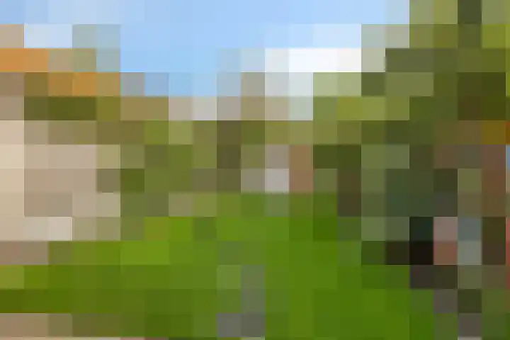Laagstraat 401 Eindhoven thumbnail 30