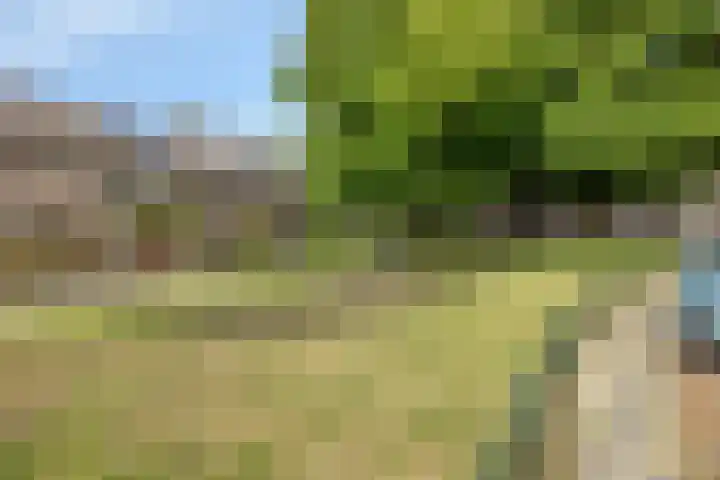 Laagstraat 401 Eindhoven thumbnail 34