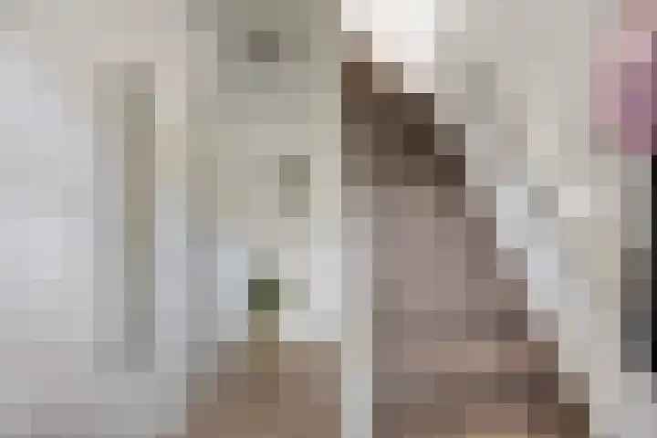 Laagstraat 401 Eindhoven thumbnail 5