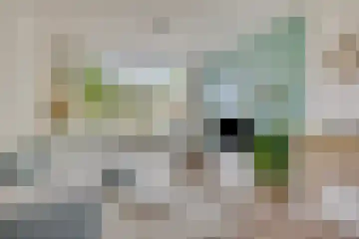 Laagstraat 401 Eindhoven thumbnail 8