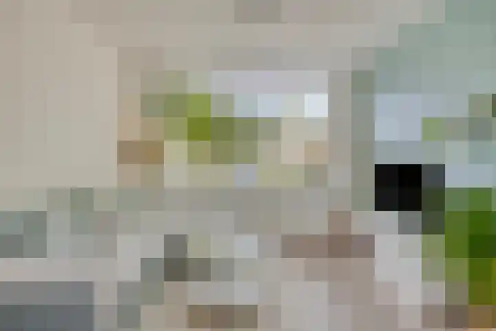 Laagstraat 401 Eindhoven thumbnail 9