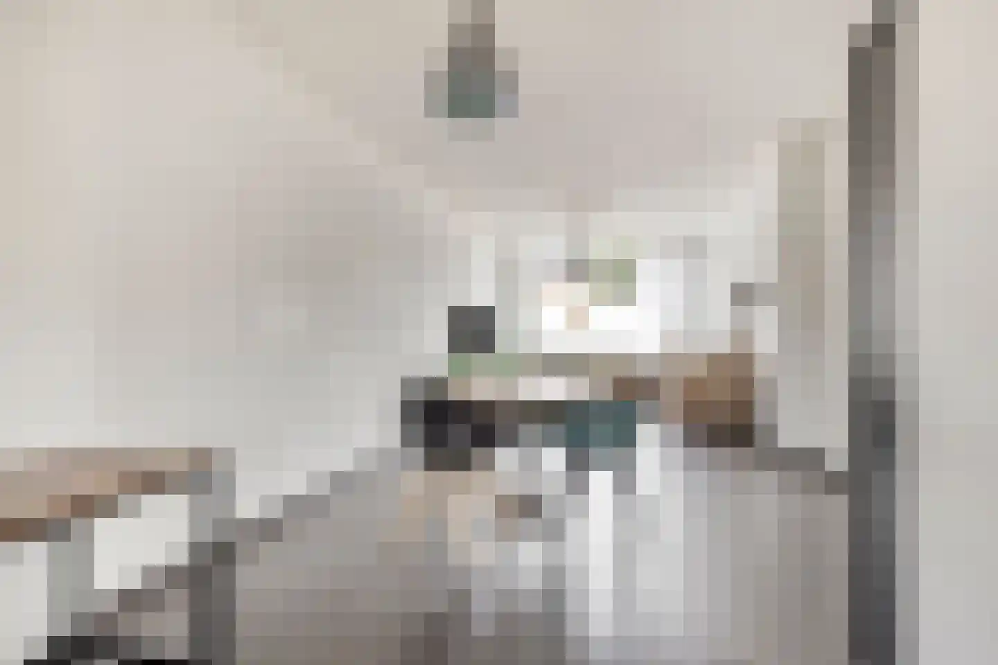 Laagstraat 407 Eindhoven thumbnail 14
