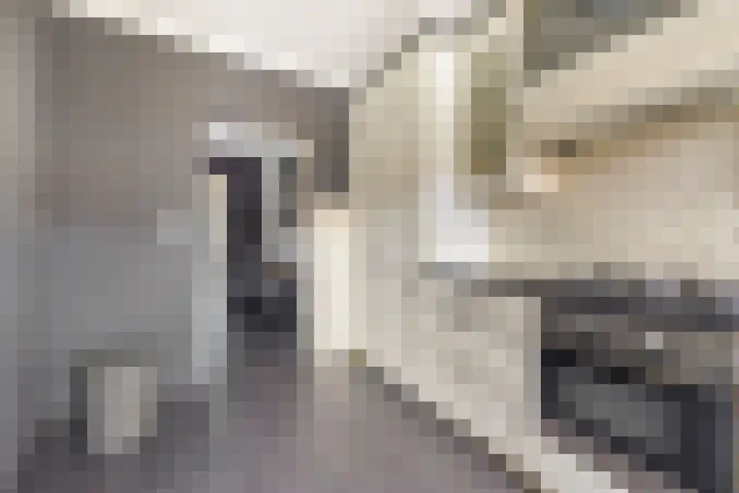 Laagstraat 407 Eindhoven thumbnail 19