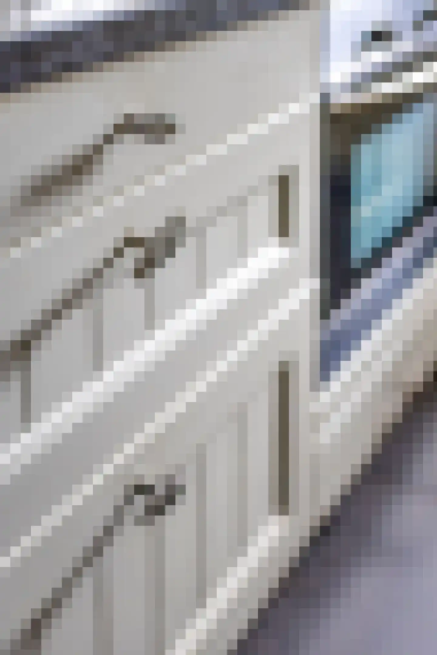 Laagstraat 407 Eindhoven thumbnail 23