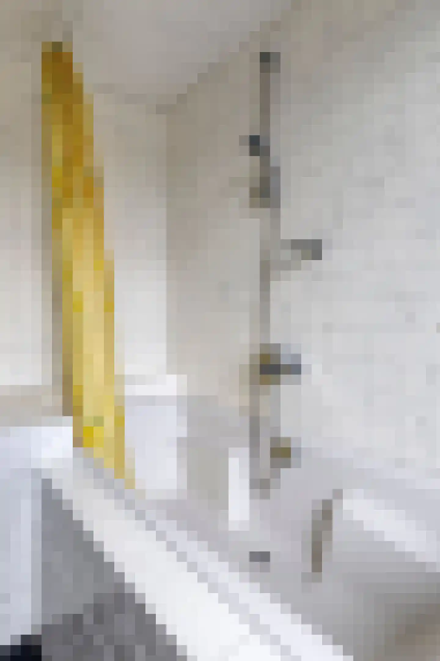 Laagstraat 407 Eindhoven thumbnail 30